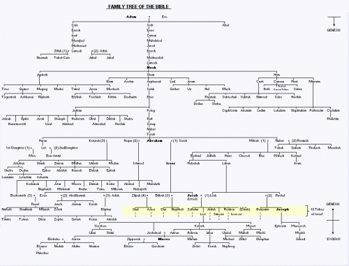 biblical family tree.gif